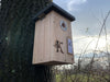 Pimpelmees Nestkast Douglashout RVS 29mm | Kooprijk