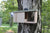 CaptureWILD - Roodborst