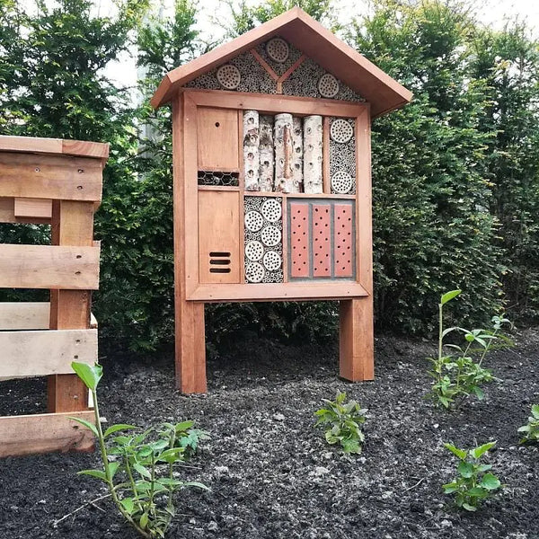 Hôtel à insectes de Corse