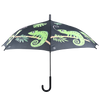parapluie caméléon