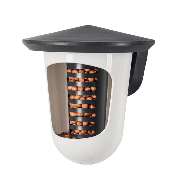 SingingFriend - Multi feedR anthracite