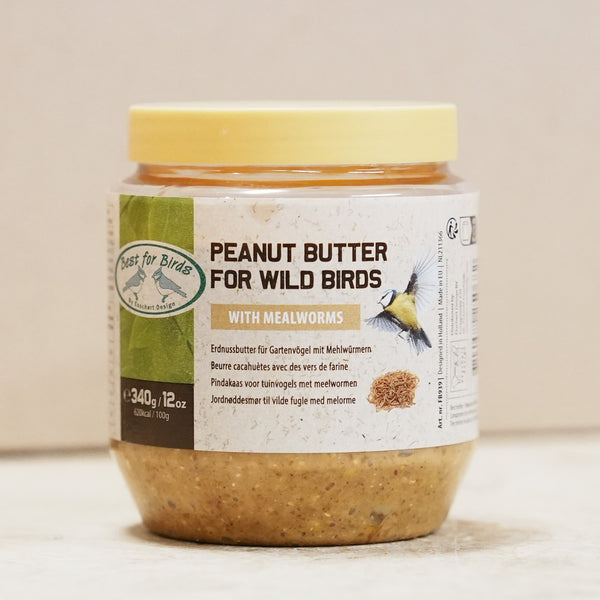 Beurre de cacahuète aux oiseaux et aux vers de farine