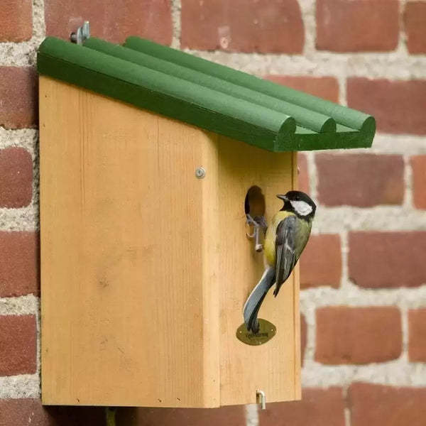 Koolmees Nestkast Toronto Groen 32mm | Vogelbescherming