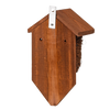 Nestbuidel kokos
