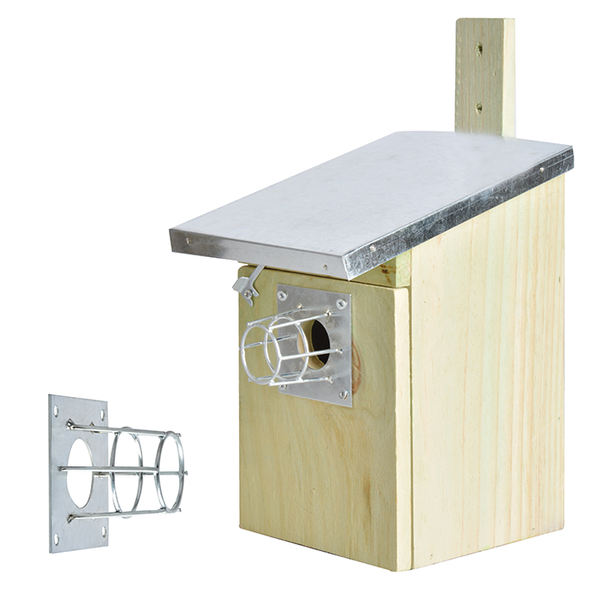 Ruche Ecureuil/Martre