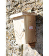 Chauves-souris Kast