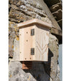 Chauves-souris Kast