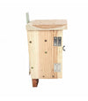 Chauves-souris Kast
