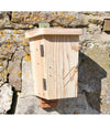 Chauves-souris Kast