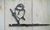 Birdwise - Mésange bleue