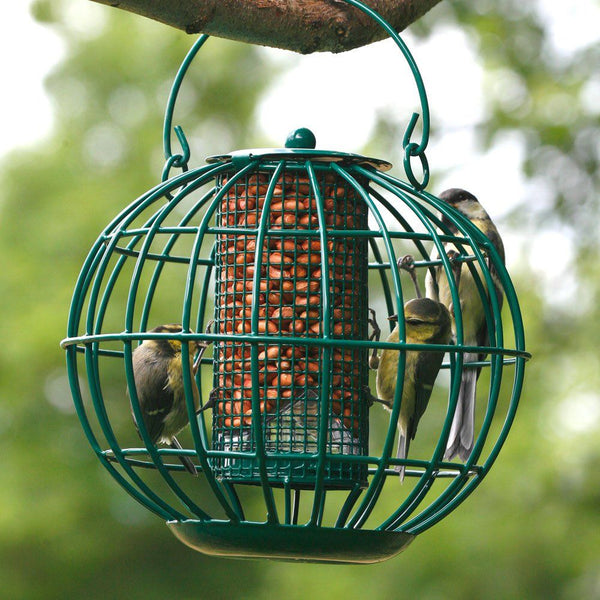 Protection des oiseaux - Silo à cacahuètes de Londres