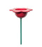 Petal vogel voeder rood