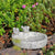 Bain d'oiseaux Fleckstone Wildlife World – Bain d'oiseaux compact en béton avec 2 oiseaux décoratifs (Ø 22 cm)