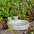 Bain d'oiseaux Fleckstone Wildlife World – Bain d'oiseaux compact en béton avec 2 oiseaux décoratifs (Ø 22 cm)