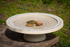 Bain d'oiseaux Shenstone