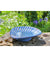 coquille de bain d'oiseau