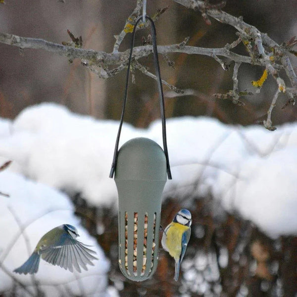 SingingFriend - Max vert