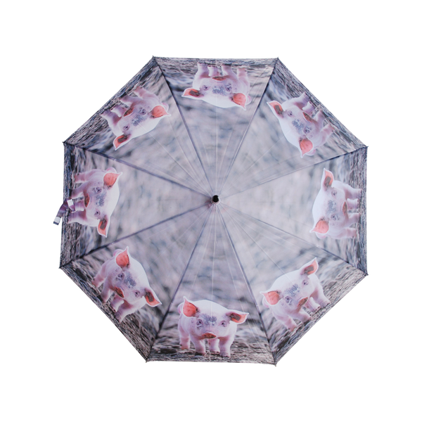 Parapluie animaux de la ferme assortis