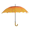 Fleurs parapluie