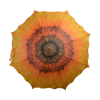 Fleurs parapluie