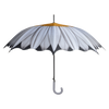 Fleurs parapluie