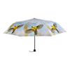 Parapluie pliant assorti