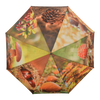 Parapluie imprimé automne