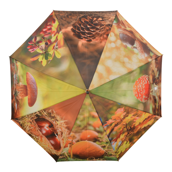 Parapluie imprimé automne