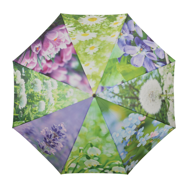 Fleurs parapluie