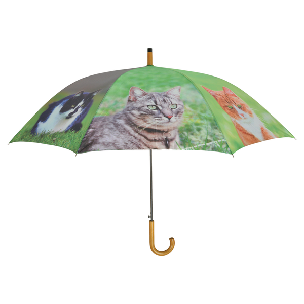 Parapluie Chats
