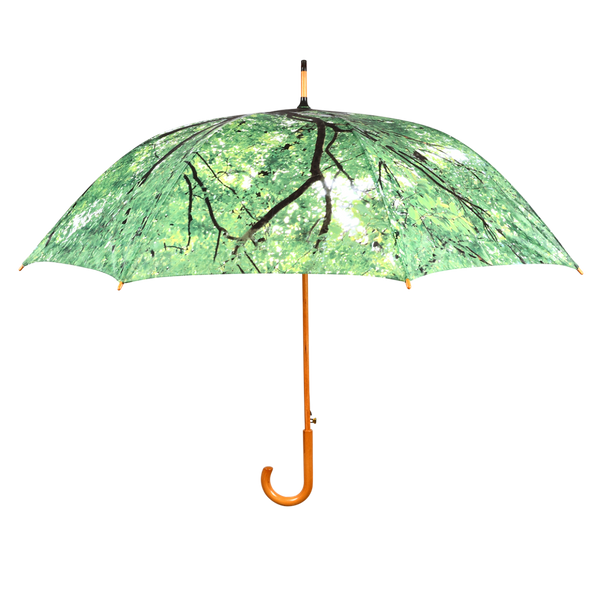 couronne d'arbre parapluie