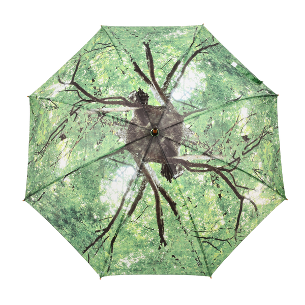couronne d'arbre parapluie