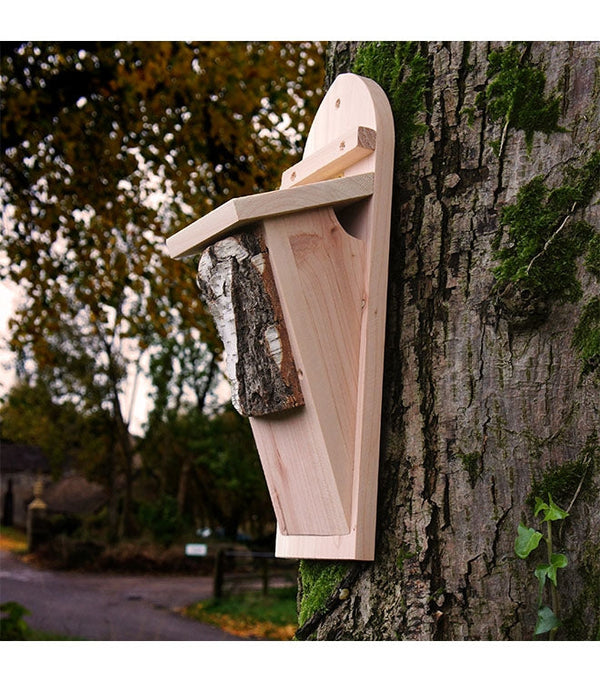 Boîte de plante grimpante d'arbre
