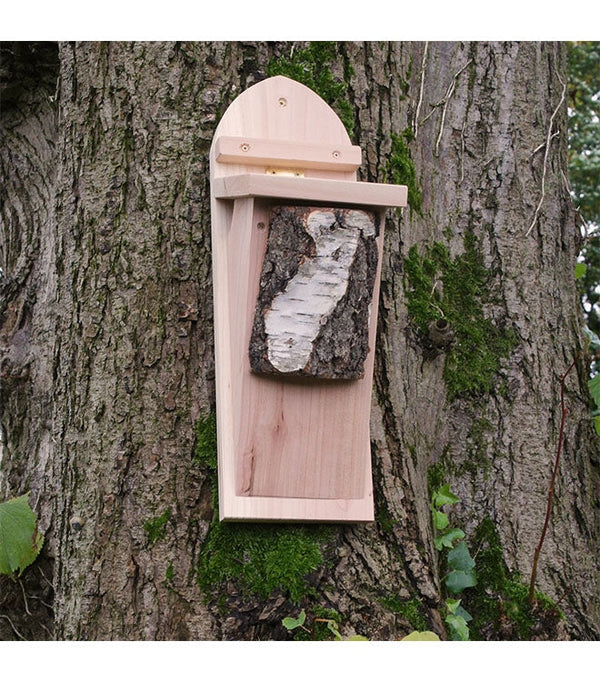 Boîte de plante grimpante d'arbre