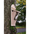 Boîte de plante grimpante d'arbre