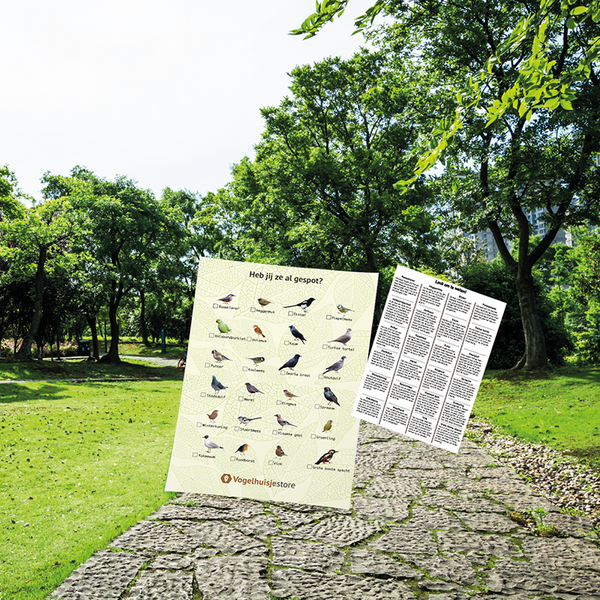 Vogel Afstreep-Poster A3 – Vogels Spotten voor het Raam | Inevo