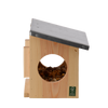 Mangeoire pour écureuils