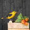 DecoBird Wielewaal