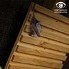 Support suspendu pour chauve-souris