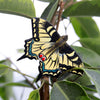 DecoButterfly - Reine Page