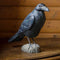 DecoBird - corbeau