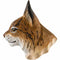 Aimant - Lynx d'Eurasie