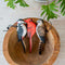 Decobird - chausse-pied cardinal