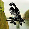 Birdwise - faucon pèlerin