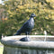 Wildlife Garden - Sculpture en fonte Pigeon