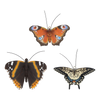 Papillon S