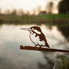 Birdwise - Martin-pêcheur