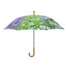 Fleurs parapluie