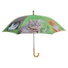 Parapluie Chats
